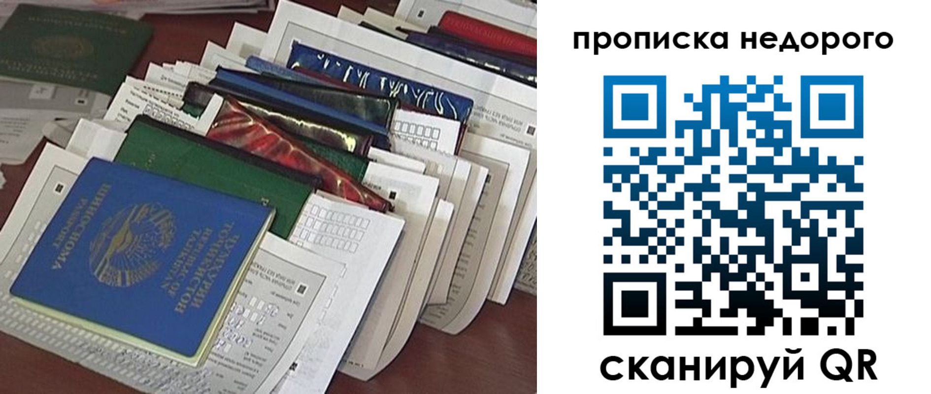 прописка гарантия в Благовещенске